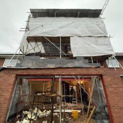 WhatsApp Image 2026-02-12 at 19.21.53 (3)